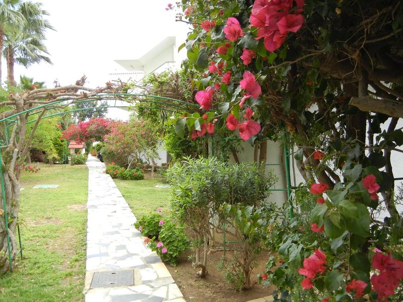 Tsialis Hotel Apartments 207166