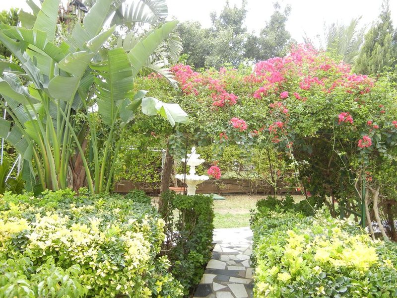 Tsialis Hotel Apartments 207171