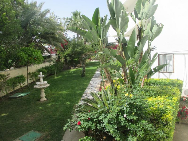 Tsialis Hotel Apartments 207195