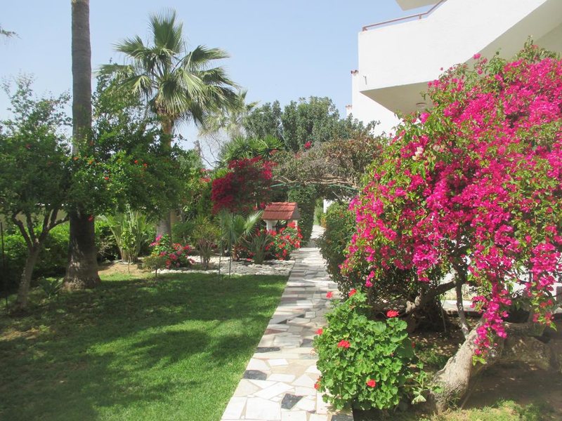 Tsialis Hotel Apartments 207196