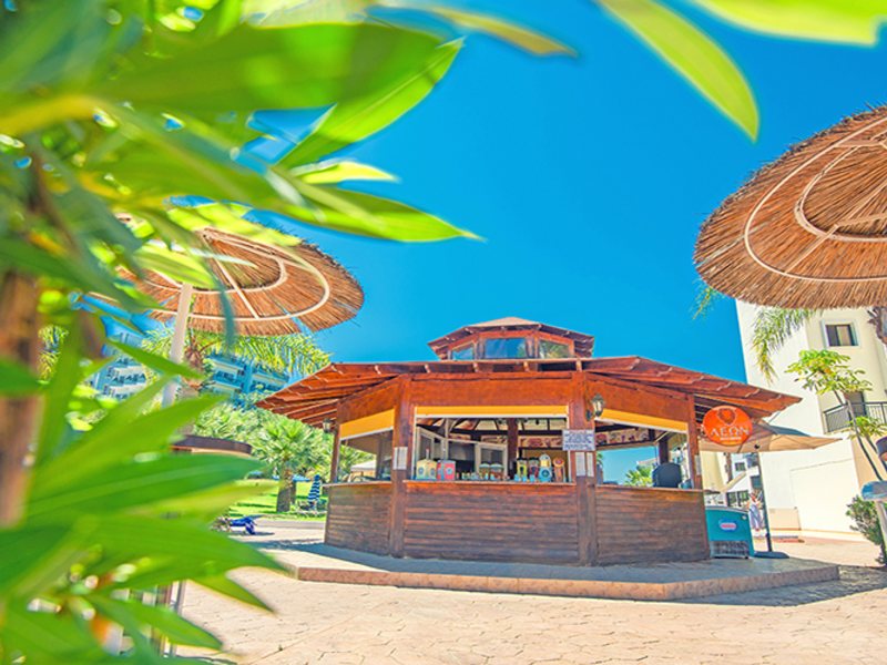 Tsokkos Gardens Hotel  272481