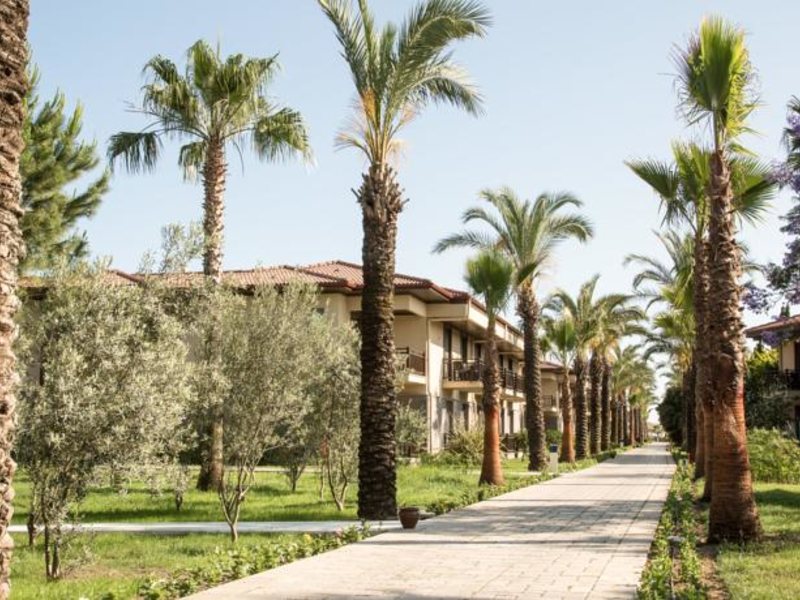 Tui Blue Palm Garden (ex 91751