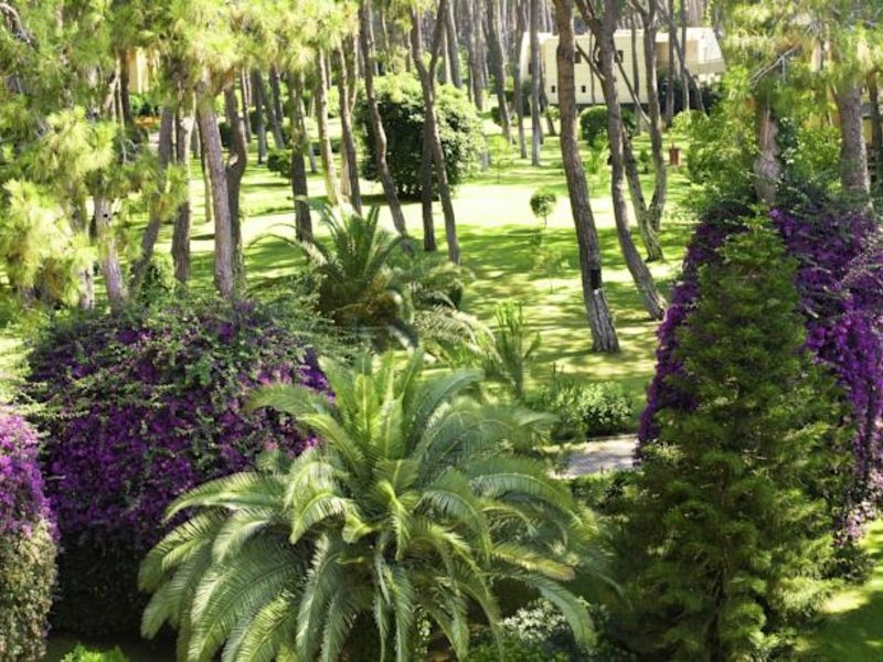 Turquoise Resort Side (ex 57540