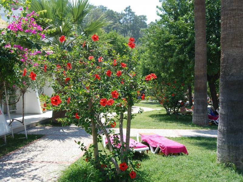 Turunc Resort Hotel 67595