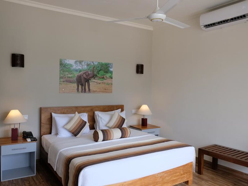 Twenty-Two Weligambay 321366