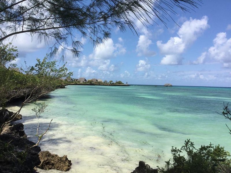 Twiga Bungalows 202957