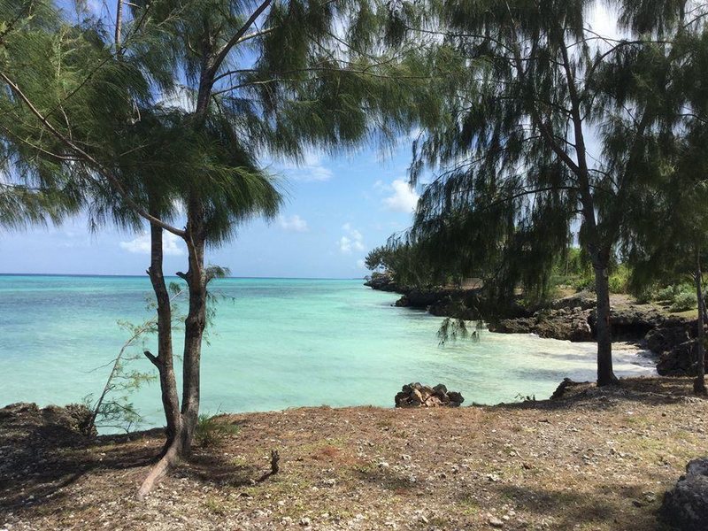 Twiga Bungalows 202958