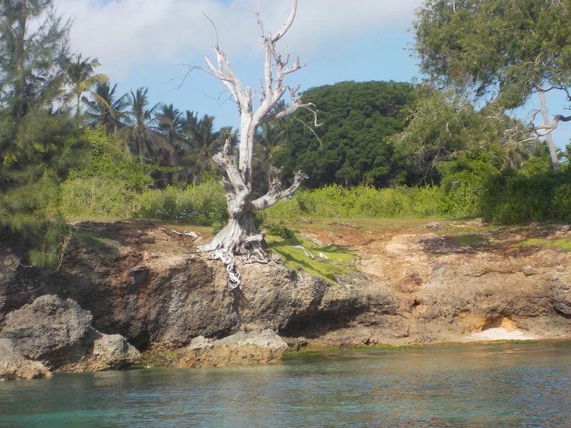 Twiga Bungalows 202960