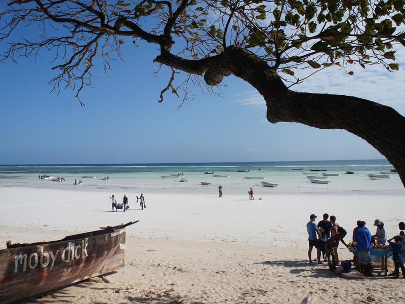 Twiga Bungalows 202961