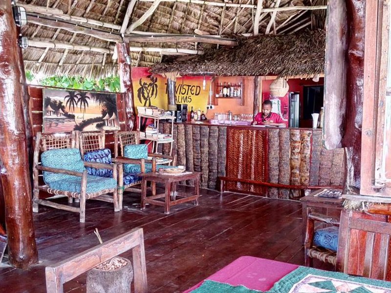 Twisted Palms 202967