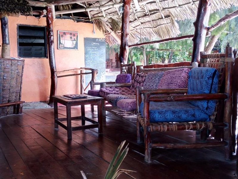 Twisted Palms 202968