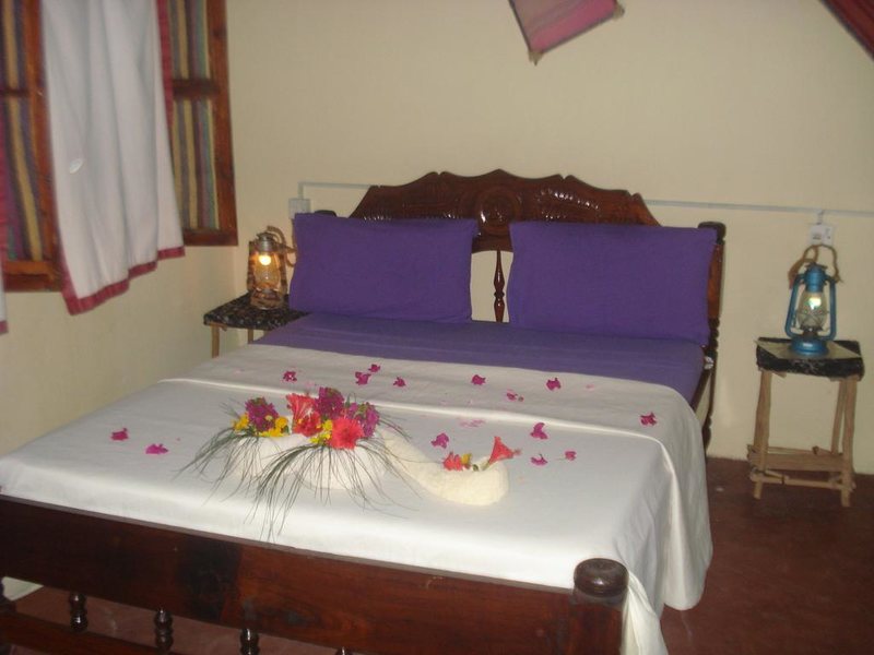 Twisted Palms 202969