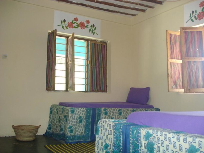 Twisted Palms 202970