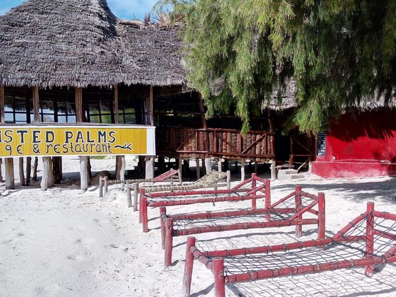 Twisted Palms 202972