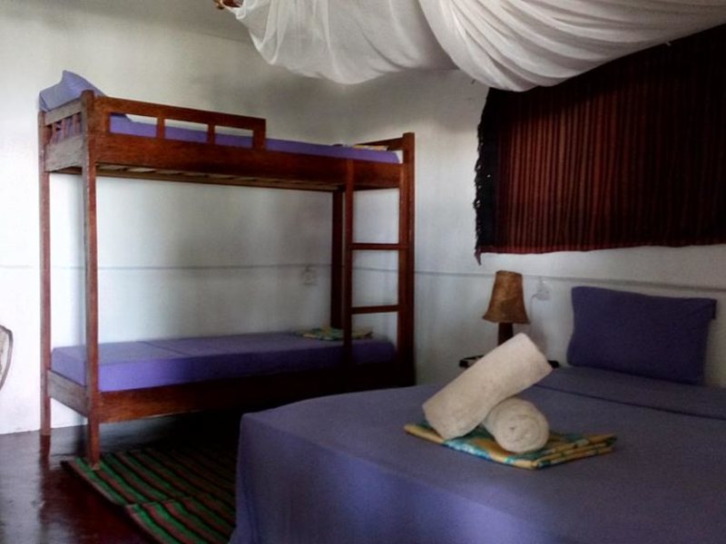 Twisted Palms 202973