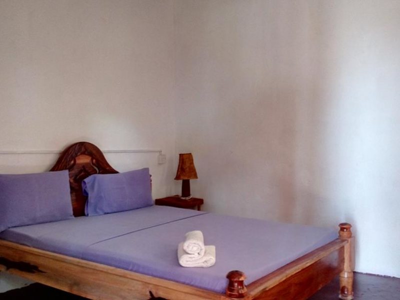 Twisted Palms 202974