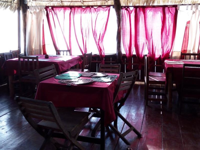 Twisted Palms 202975