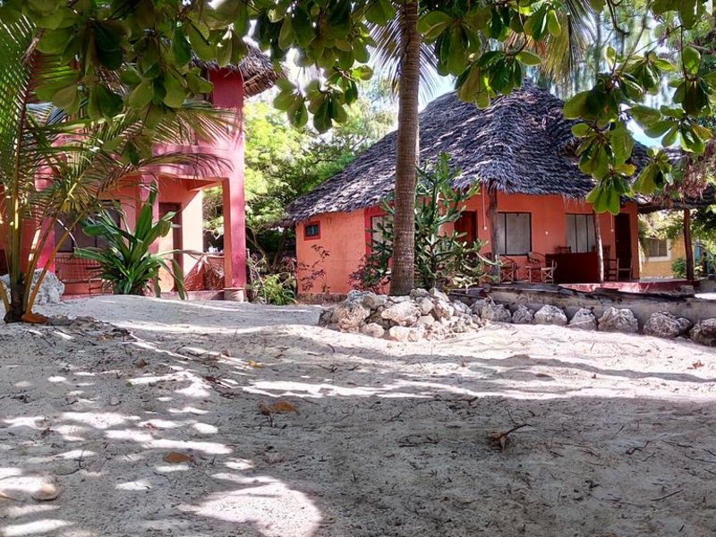 Twisted Palms 202976