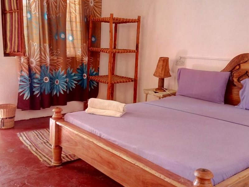 Twisted Palms 202977