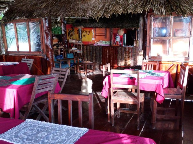 Twisted Palms 202978