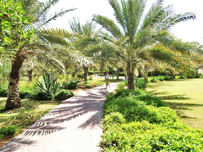 Umm Al Quwain Beach Hotel 49928