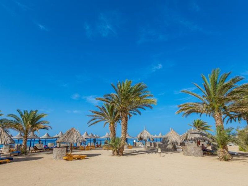 Utopia Beach Club 129928