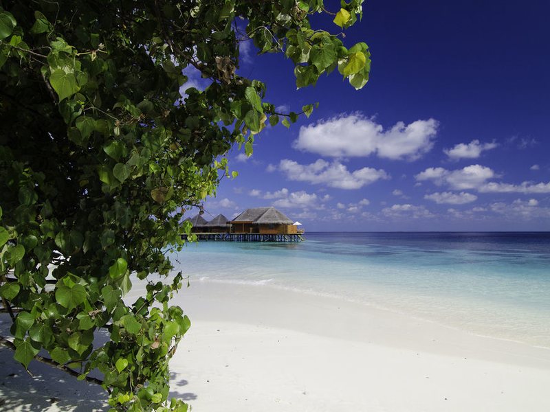 V Villas Maldives at Mirihi (ex 135882