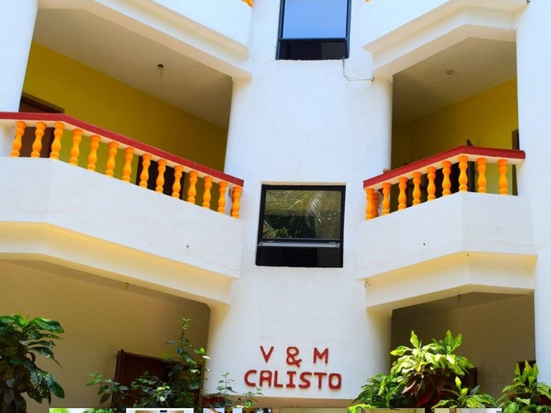 V & M Calisto 235438