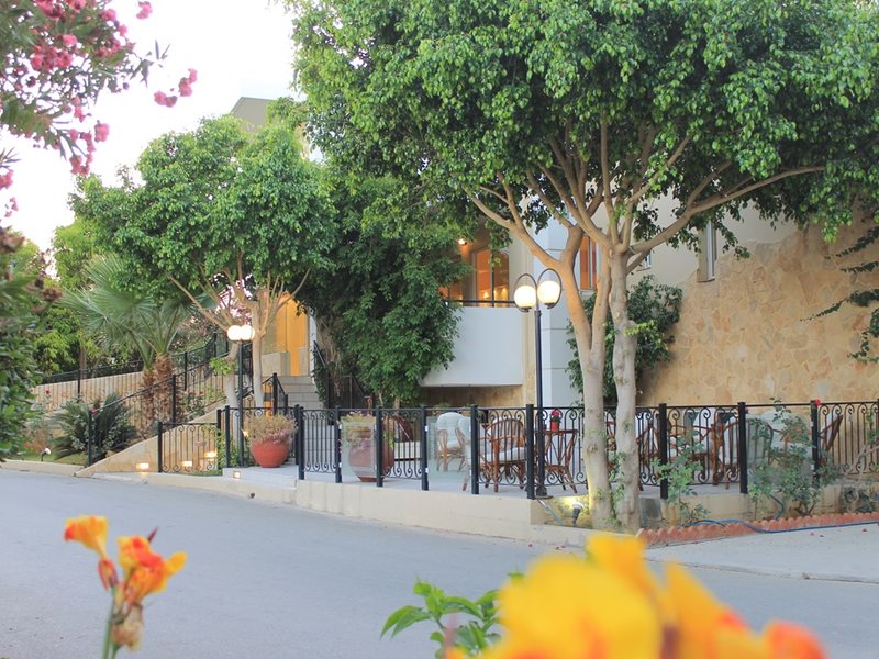 Varvara s Diamond 78255