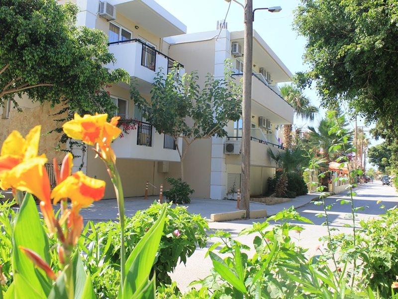 Varvara s Diamond 78259