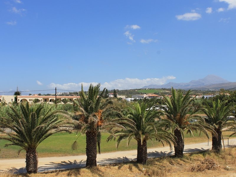 Varvara s Diamond 78270