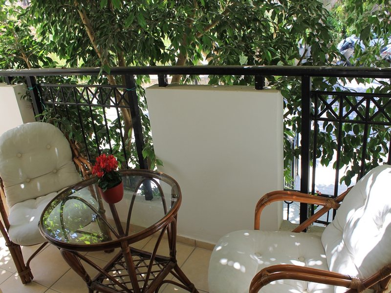 Varvara s Diamond 78272