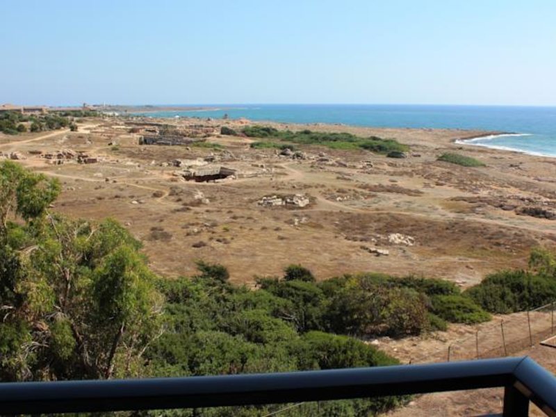 Venus Beach Hotel 92334