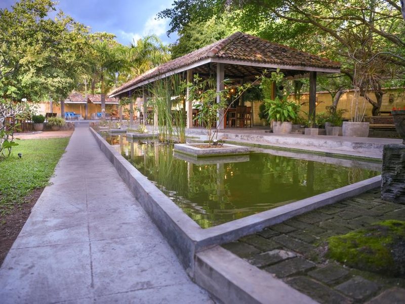 Vibration Hotel 235823