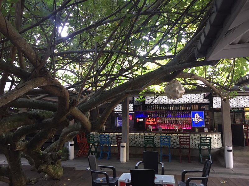 Vibration Hotel 235841