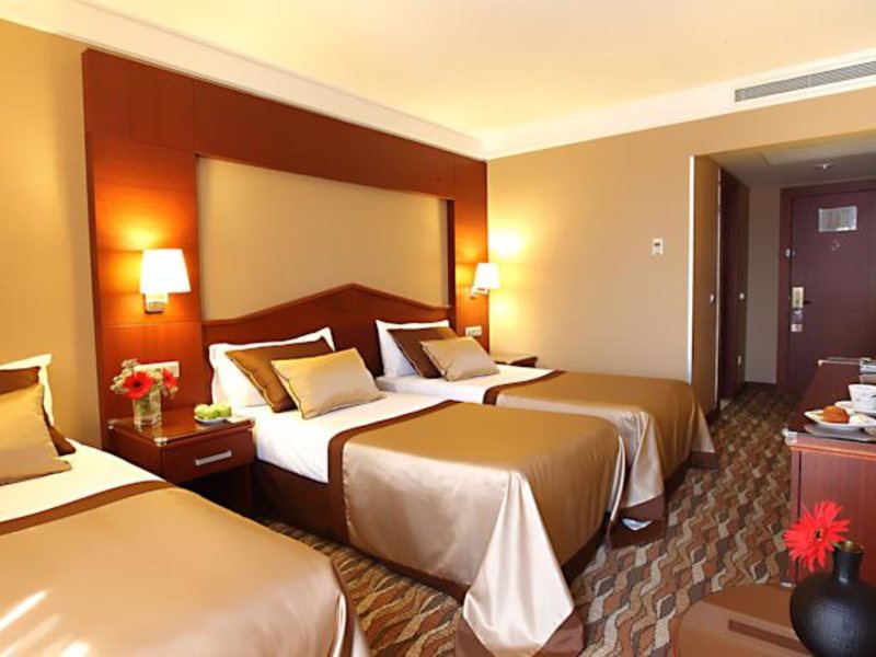 Vicenza Hotel 105436