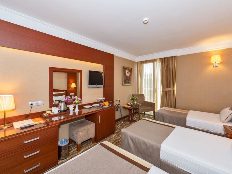 Vicenza Hotel 296610