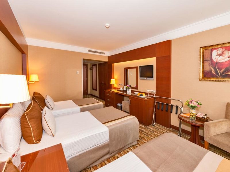 Vicenza Hotel 296612