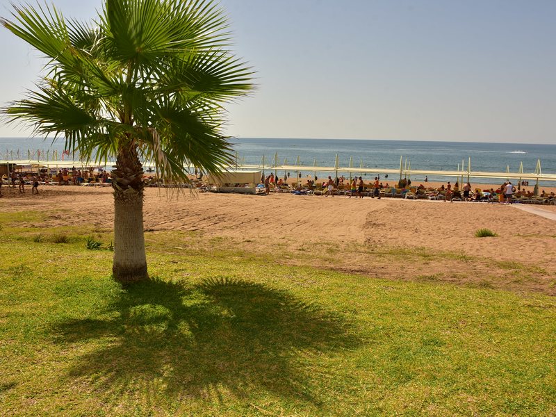 Victory Resort 188038