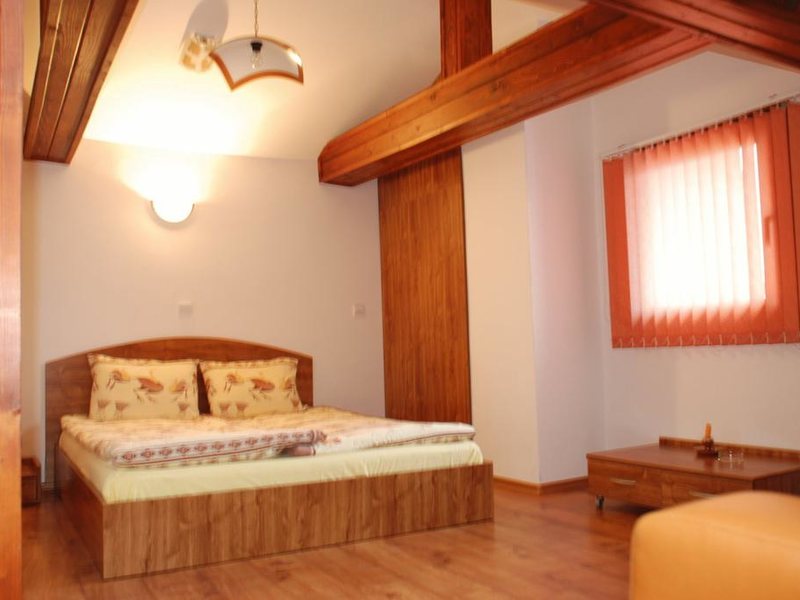 Vien Family Hotel 239103