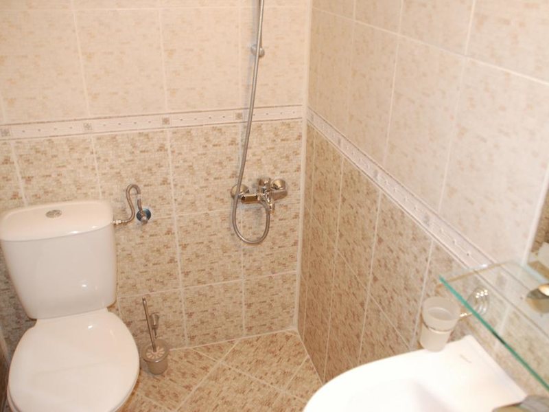 Vien Family Hotel 239104