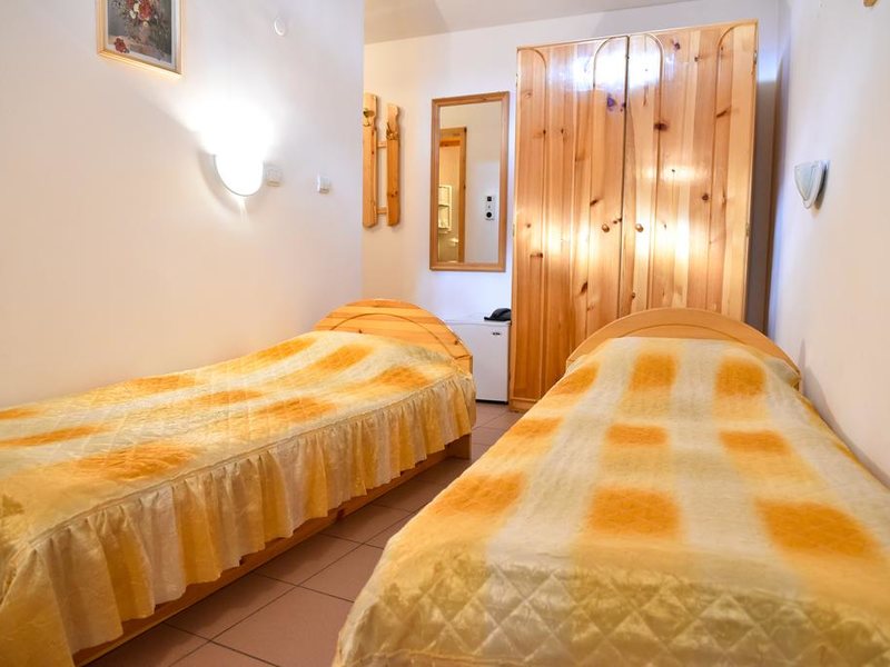 Vihren Family Hotel  316037