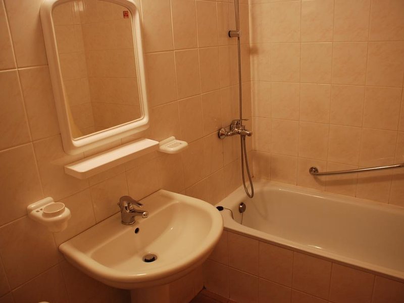 Vihren Family Hotel  316048