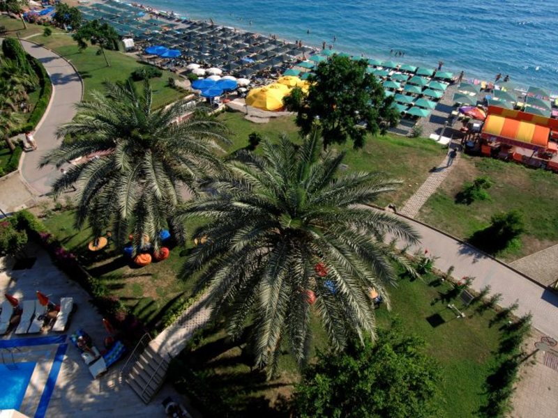 Viking Nona Beach 33789