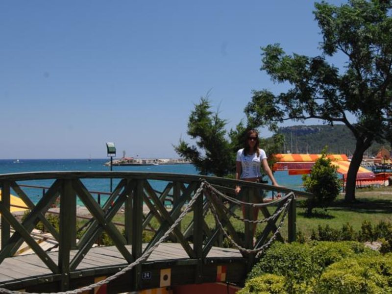 Viking Nona Beach 95479