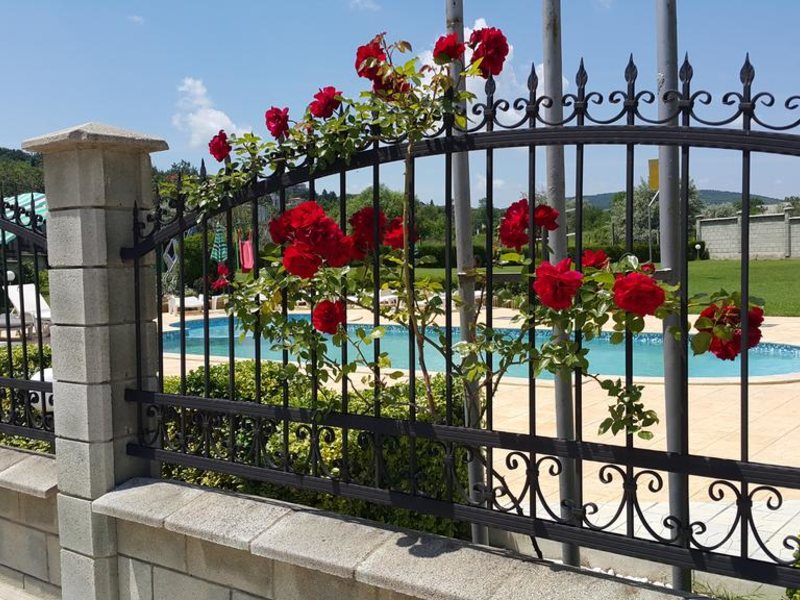 Villa Amfora  169362