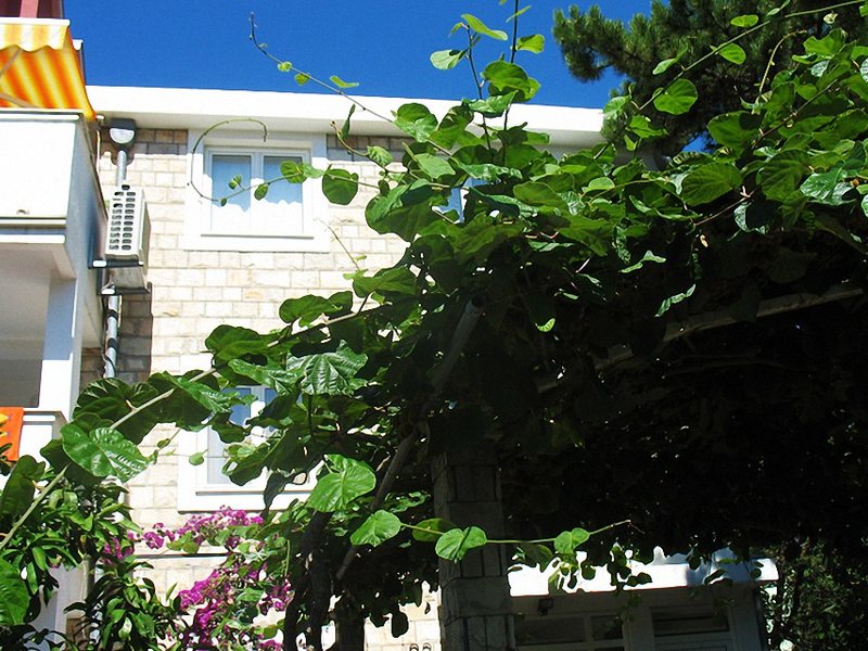 Villa Boja Radjenovic 86505