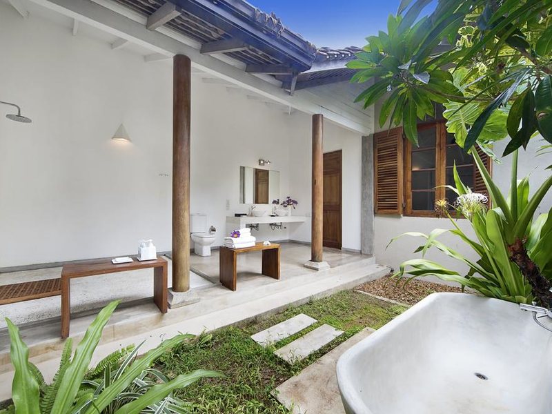 Villa Frangipani Tree 112295