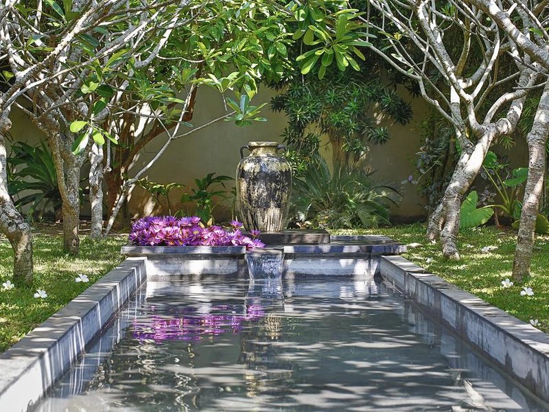 Villa Frangipani Tree 112299