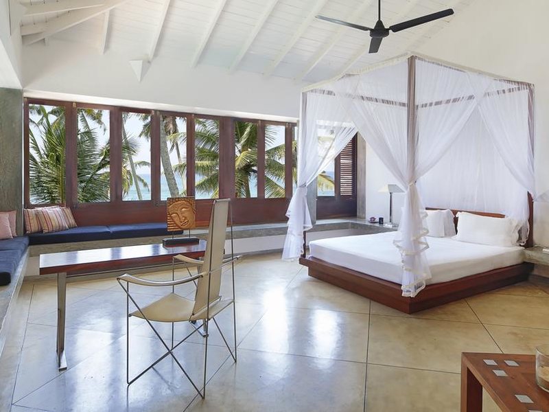 Villa Frangipani Tree 112300